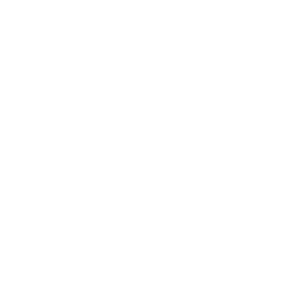 Ondokuz Mayıs Üniversitesi Logo